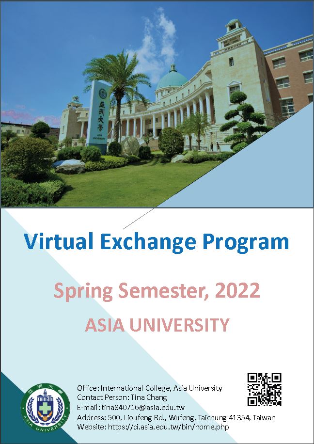 Virtual Exchange Program